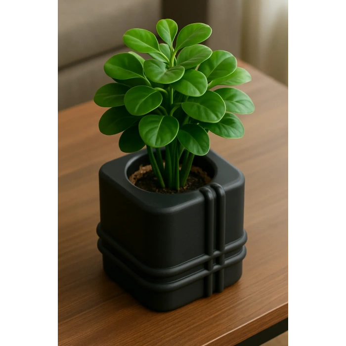 3D Baskı Square Planter - Izgara Desenli Küp Saksı-Siyah