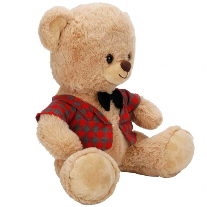 4810 PELUŞ AYI ELBİSELİ 32CM 2A