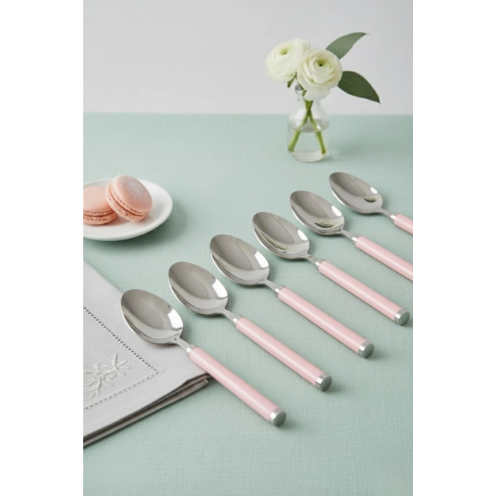 6?lı Paslanmaz Çelik Tatlı Kaşığı Seti Somon Pembe Saplı 15 cm
