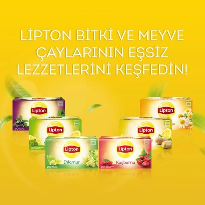 Adaçayı 20 li