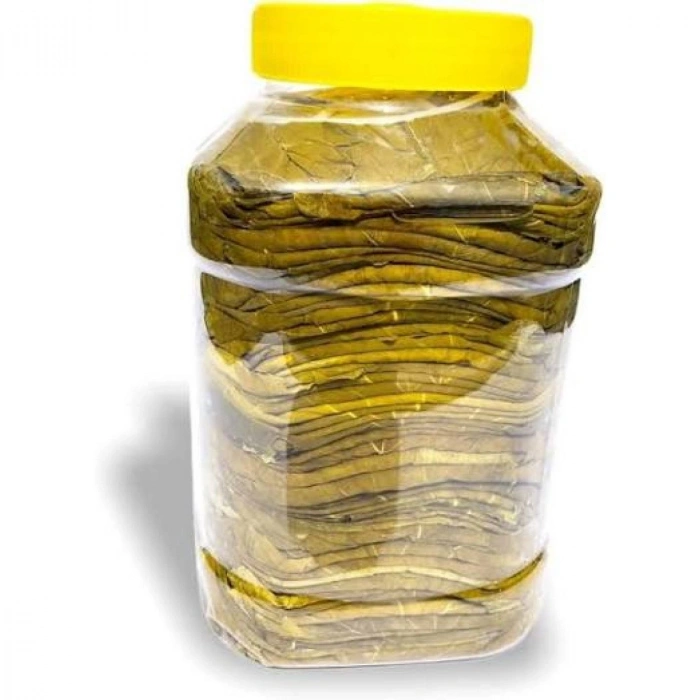ALTIN SARI ERBAA YAPRAK 1,5 KG