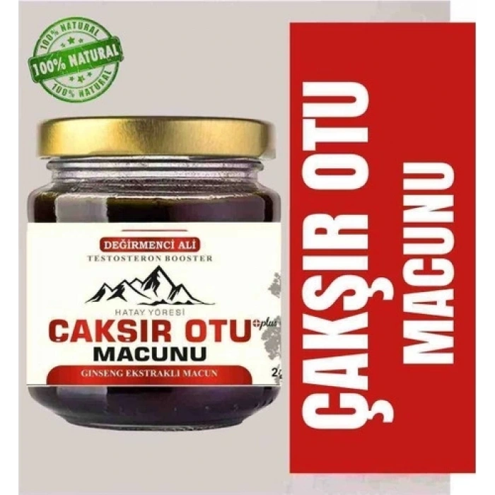 Bayilik XML Değirmenci Ali Çakışır Otu Macunu 240 gr 240 gr