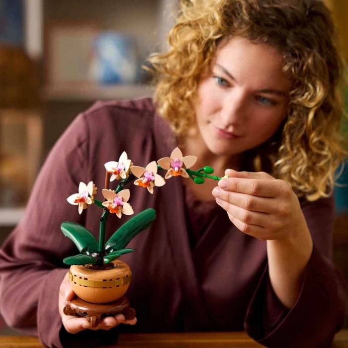 Botanicals Mini Orkide 10343