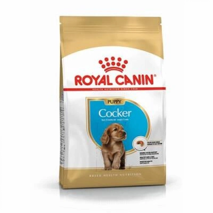 Cocker Spaniel Puppy Yavru Köpek Maması 3 Kg