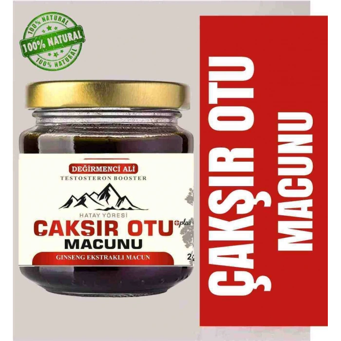 Değirmenci Ali Çakışır Otu Macunu 240 gr