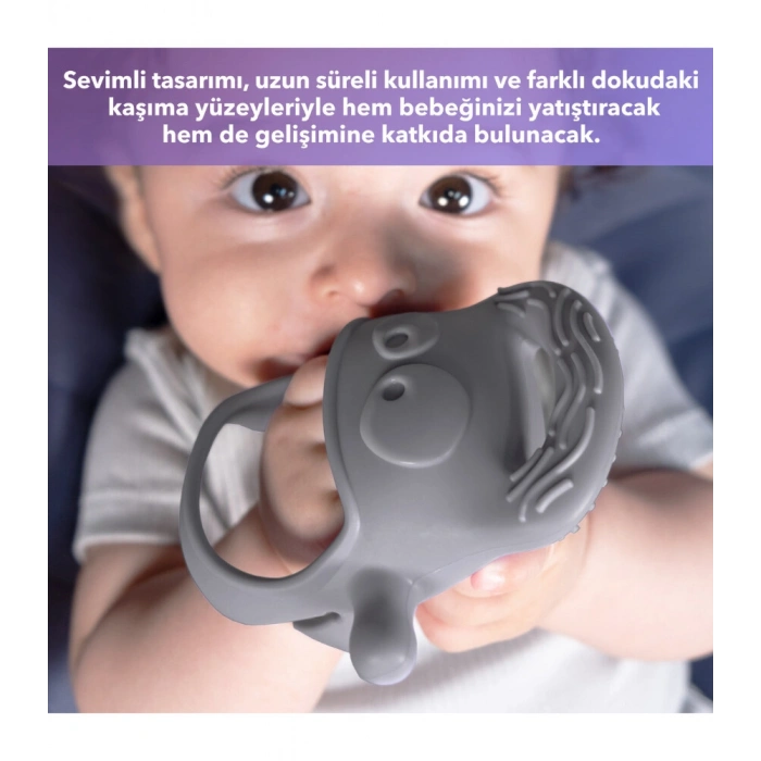 Diş Kaşıyıcı Gri