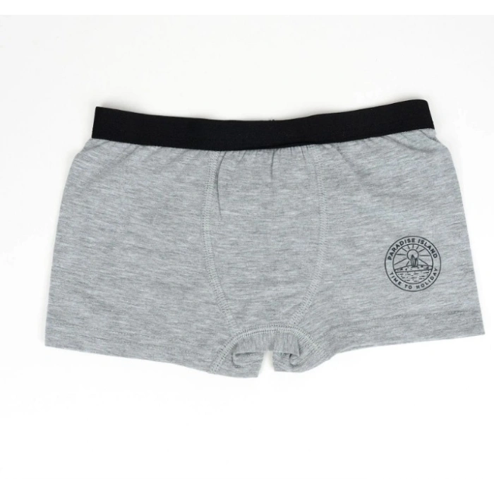 Erkek 2li Boxer Set K128997 (tek adet fiyatıdır)