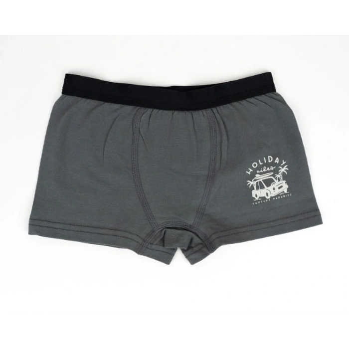 Erkek 2li Boxer Set K128997 (tek adet fiyatıdır)