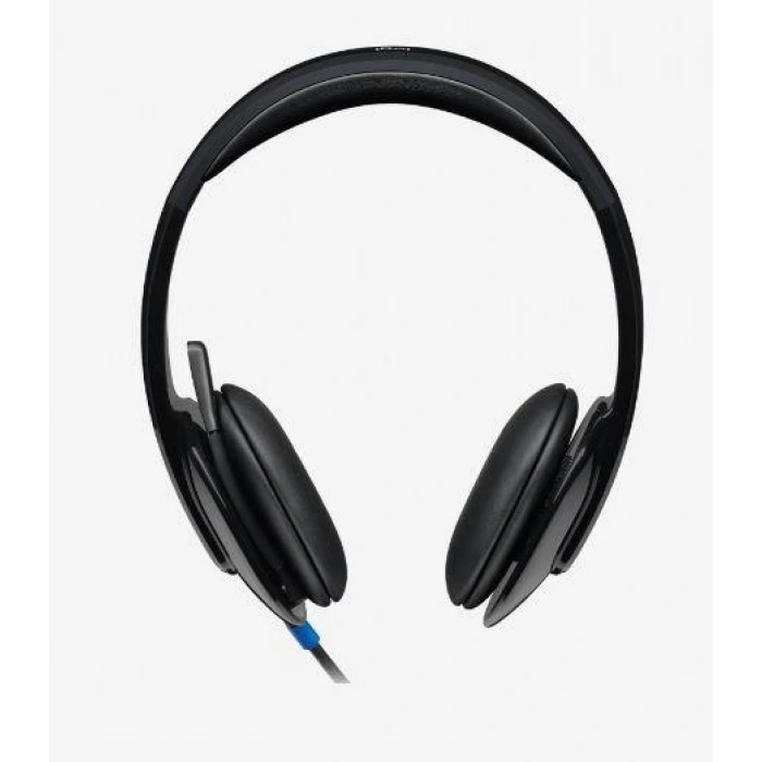 H540 USB SİYAH KULAKLIK 981-000480