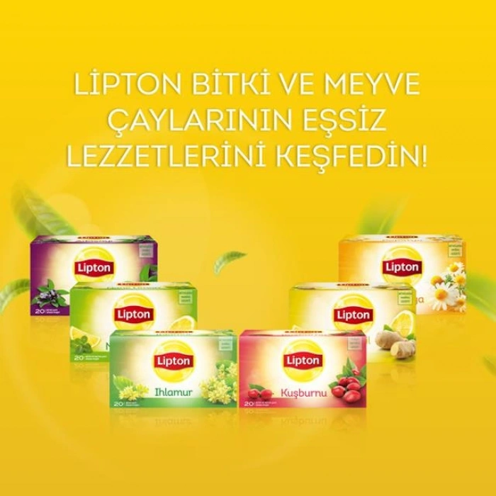 Ihlamur 20 li