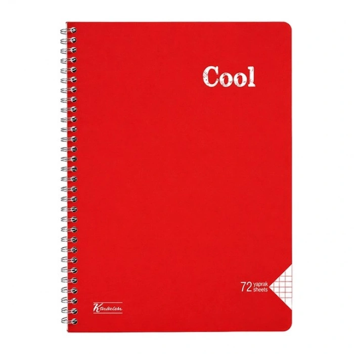 K.Color A4/72 Kareli Pp.Kap.Sprl.Cool   1 Adet