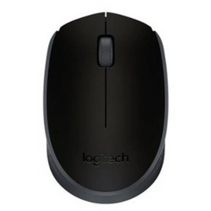 M171 KABLOSUZ USB MOUSE SİYAH 910-004424