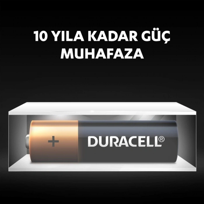 NessiWorld 4Lü AA Kalem Pil
