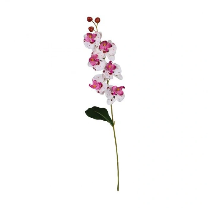 Ogc-0018     62 cm 1 Adet
