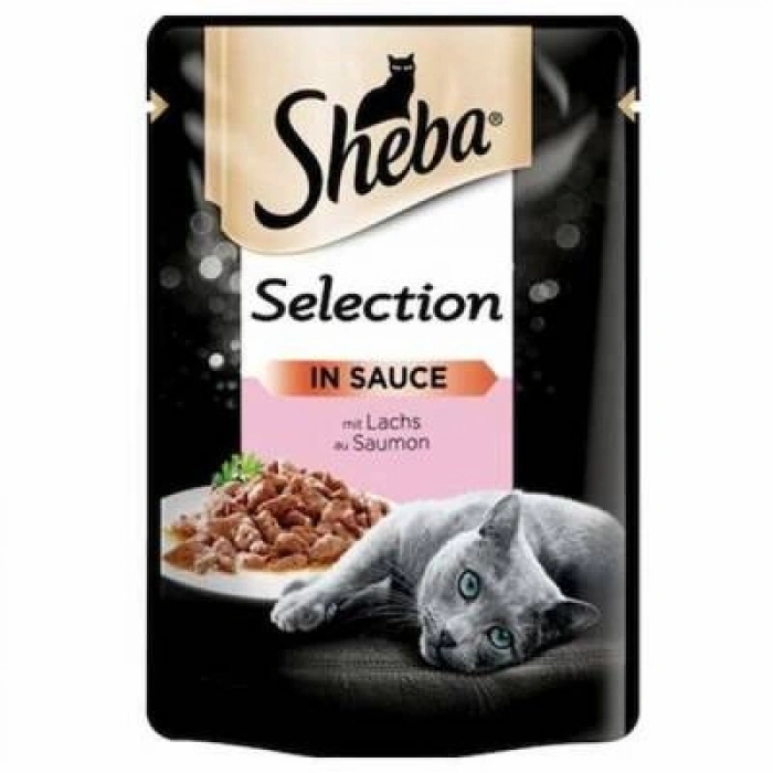 Pouch Somonlu Yetişkin Kedi Konservesi 85 Gr