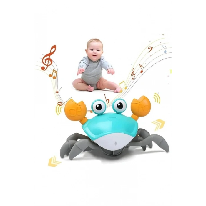 SH40381 KUT.PİLLİ YENGEÇ
