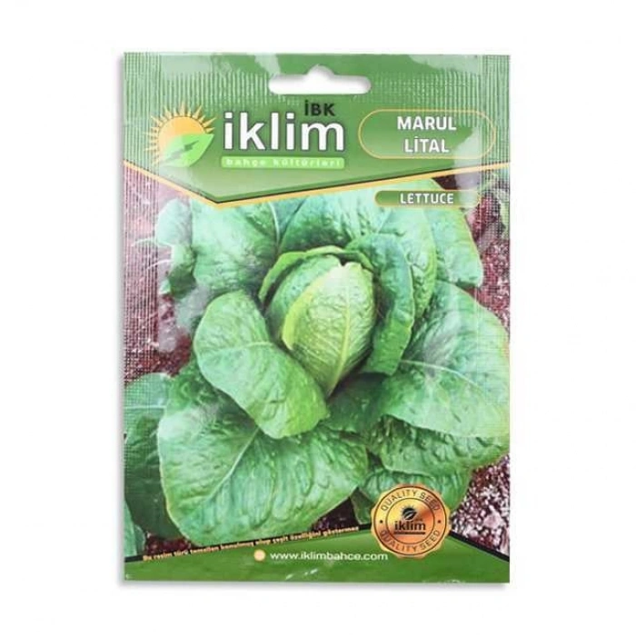 Tohum Marul Lıtal 5gr 1 Adet