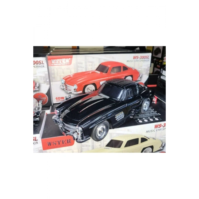 Wster WS-300SL Oto Muzik Calar