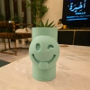3D Baskı Emoji Planter - Göz Kırpan Yüzlü Sukulent Saksısı-Mint
