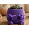 3D Baskı Kitap Okuyan Saksı - Kupa Tutan Sevimli Saksı-Mor
