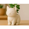 3D Baskı Sevimli Kedi Saksı - Figürlü Sukulent Saksısı-Bej