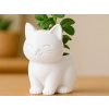 3D Baskı Sevimli Kedi Saksı - Figürlü Sukulent Saksısı-Beyaz