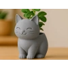 3D Baskı Sevimli Kedi Saksı - Figürlü Sukulent Saksısı-Gri