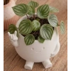 3D Baskı Smiley Face Planter - Gülümseyen Karakterli Saksı-Beyaz