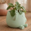 3D Baskı Smiley Face Planter - Gülümseyen Karakterli Saksı-Mint