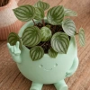 3D Baskı Smiley Face Planter - Gülümseyen Karakterli Saksı-Mint