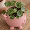 3D Baskı Smiley Face Planter - Gülümseyen Karakterli Saksı-Pembe