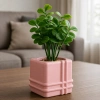 3D Baskı Square Planter - Izgara Desenli Küp Saksı-Pembe