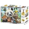 3D - Hayvanat Bahçesi Selfie 500 Parça Yetişkin Puzzle
