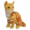 43 CM PELUŞ KEDİ