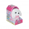 47100 Sevimli Köpek Maltese -