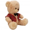 4810 PELUŞ AYI ELBİSELİ 32CM 2A