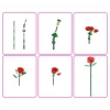 5UC00000 MAX Gül sürprizi 247 parça