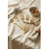 6lı Lüks Gold Paslanmaz Çelik Yemek Çatalı Seti (21 cm)