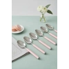 6?lı Paslanmaz Çelik Tatlı Kaşığı Seti Somon Pembe Saplı 15 cm