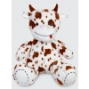 62428 PELUŞ 70CM  10 MODEL  (1 ADET FİYATIDIR)