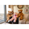 62723 PELUŞ 100CM UZUN AYI