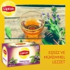 Adaçayı 20 li