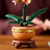 Botanicals Mini Orkide 10343