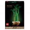 Botanicals Şans Bambusu 10344