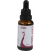 Caas Kadınlara Özel Lady Orga Alkolsüz Içecek 30 ml