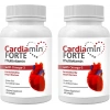 Cardiamin Forte 2 Adet Multivitaminli OMEGA3LÜ 60 Soft Jel Kapsüllü Formül