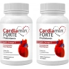 Cardiamin Forte: 2 Adet Multivitaminli OMEGA3LÜ 60 Soft Jel Kapsüllü Formül
