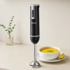 Çubuk Blender 300W Çelik Uçlu