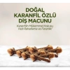 Doğal Diş Macunu 90 Gr Karanfil