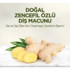 Doğal Diş Macunu 90 Gr Zencefil Özlü